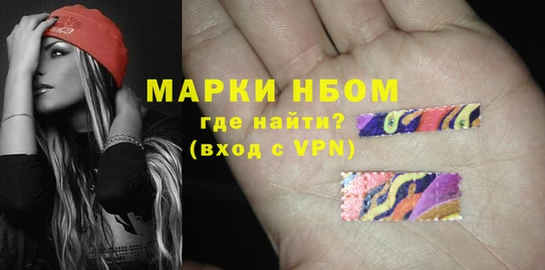гашик Алексин
