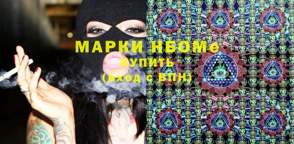 гашик Алексин
