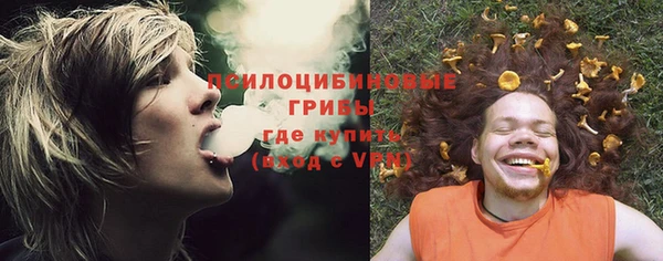 шишки Алексеевка