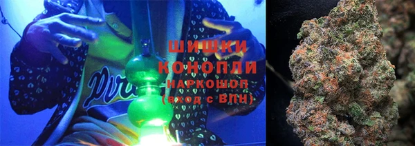 шишки Алексеевка