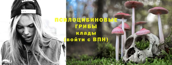 гашик Алексин