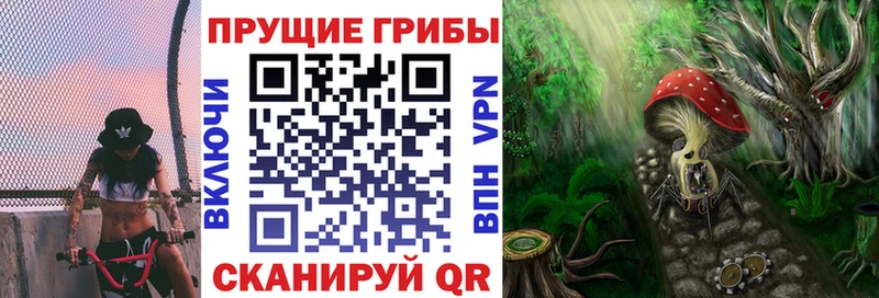 Псилоцибиновые грибы мицелий  купить наркоту  Карпинск 